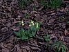 100_0870.JPG